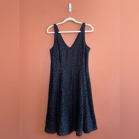 NWT Ann Taylor Loft Lace Fit and Flare Dress Womens Size 10 - Picture 1 of 6